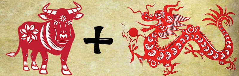 Tuổi Thìn và Tuổi Sửu Có Hợp Nhau Không? Giải Mã Tình Duyên, Hôn Nhân và Làm Ăn